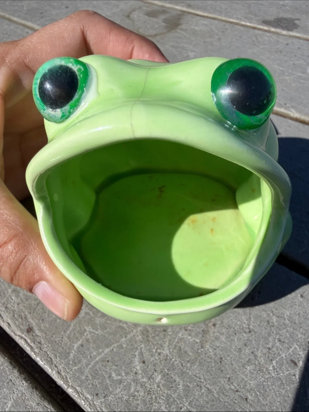 Green Frog-Shaped Feeding Dish for Kitchen & Home